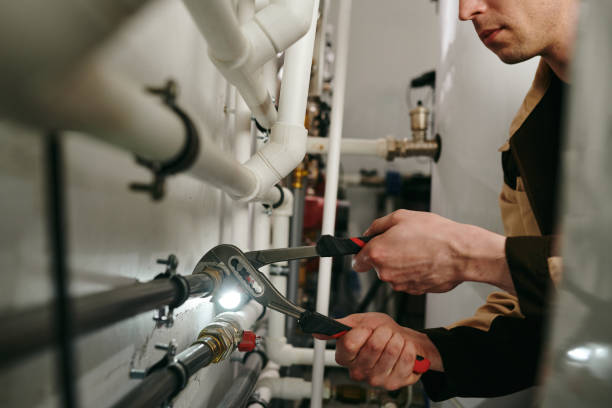 Best Plumbing Inspection Services  in Cressona, PA