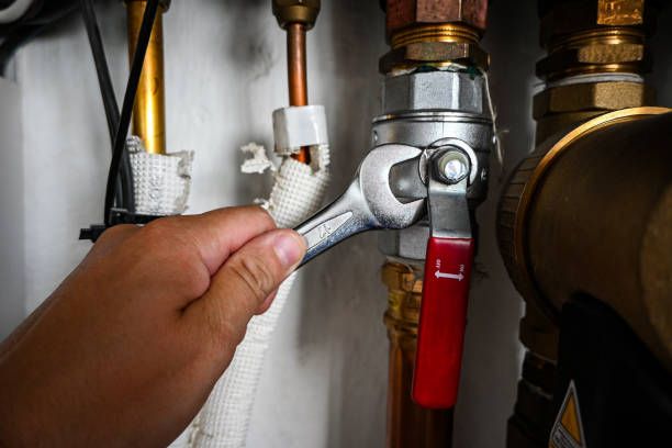 Best Clogged Drain Plumber  in Cressona, PA